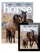 Horse Illustrated Print Edition