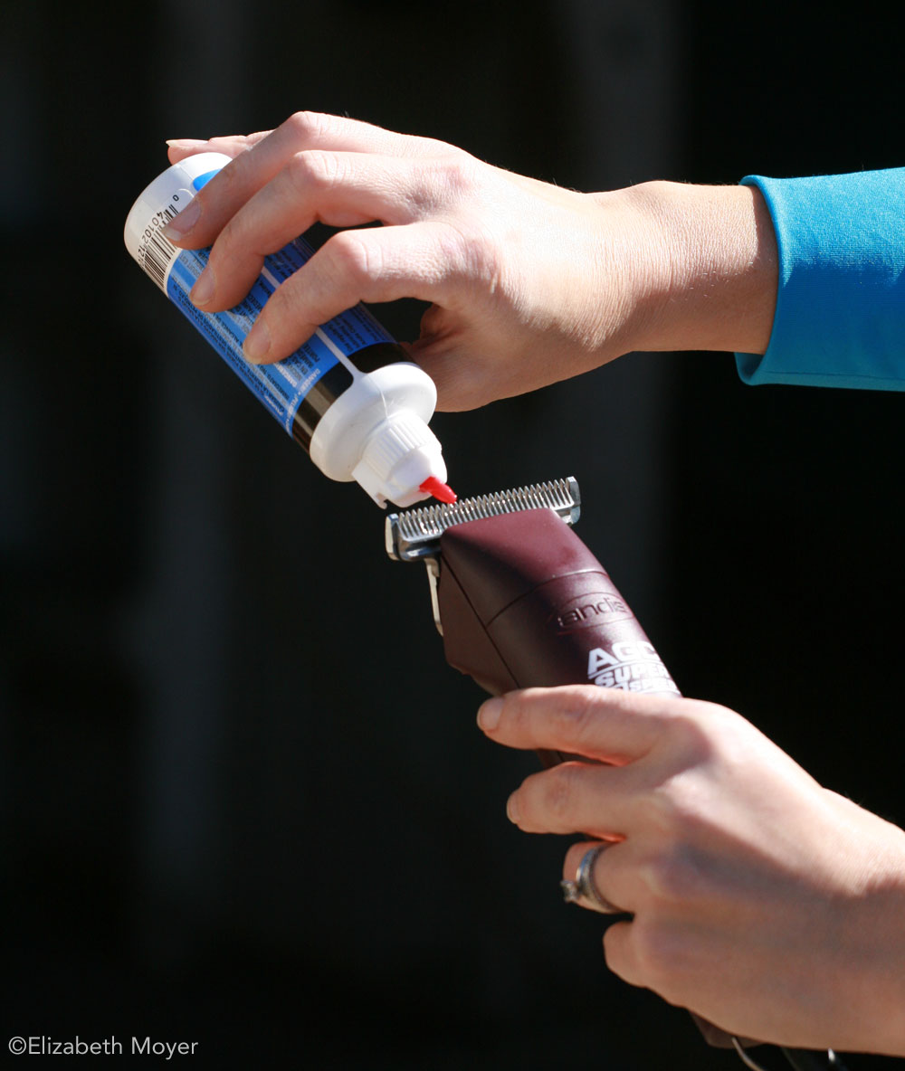 Oiling clipper blades