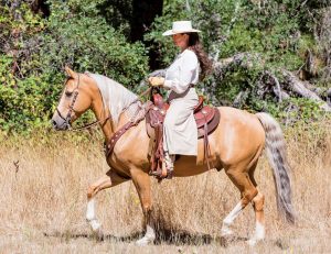 Cowboy Dressage Techniques for Training Correct Gaits