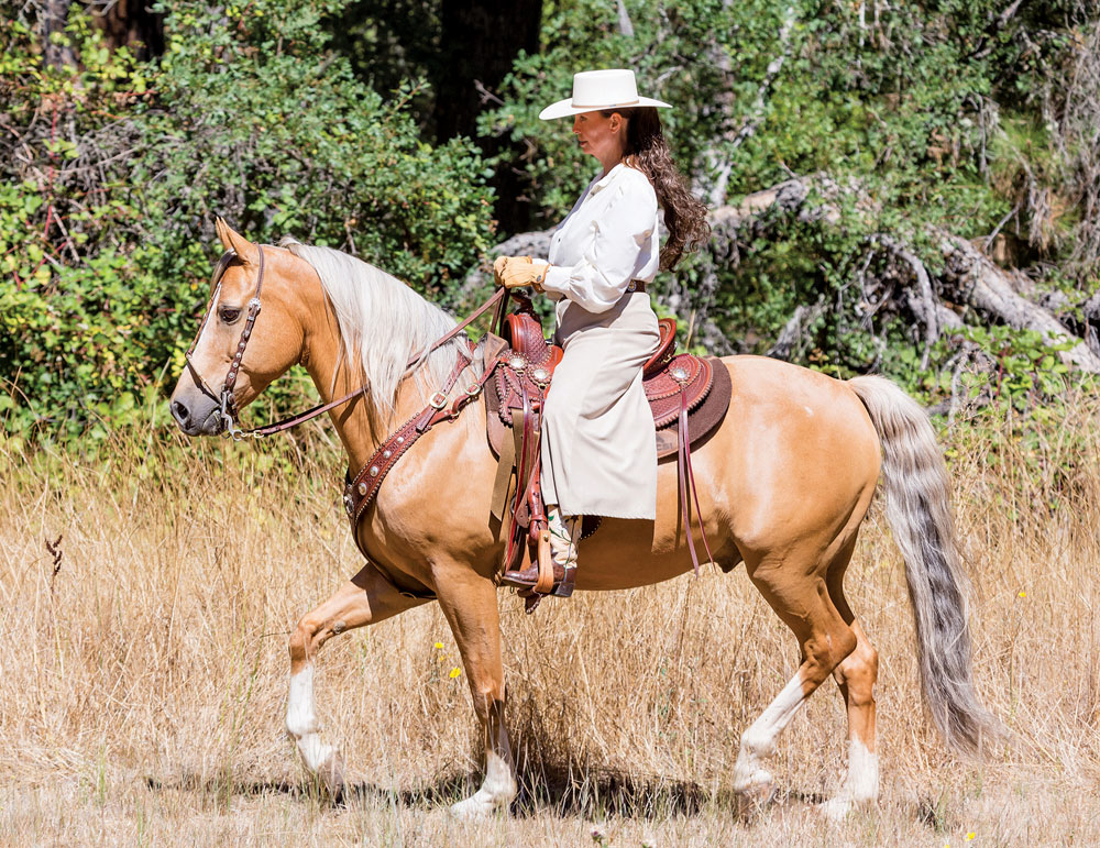 Cowboy Dressage Jog