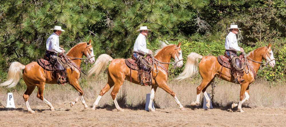 Cowboy dressage lope