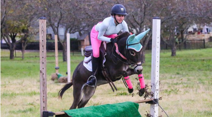 Doneky KitKat and Ryan Hall