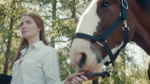 Find Your Old Friend