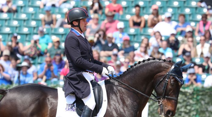 Phillip Dutton and I'm Sew Ready competing in dressage