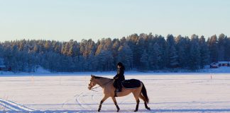 Horseback riding in the snow