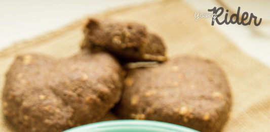 sugar-free horse treats