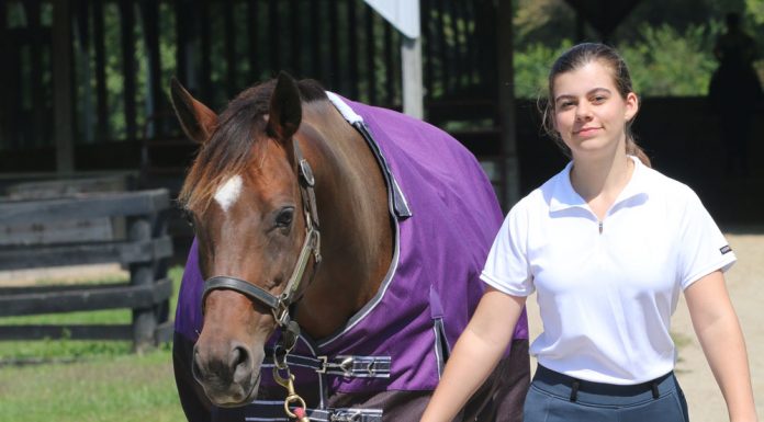 young equestrian with horse in a blanket