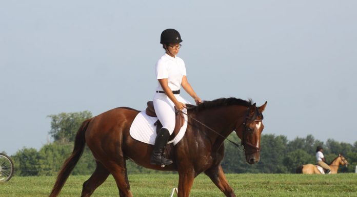 young rider competing in a dressage show