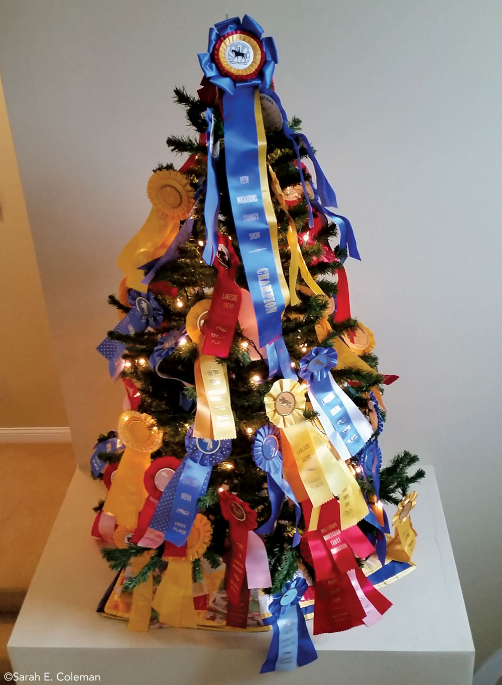 Horse show ribbon tree