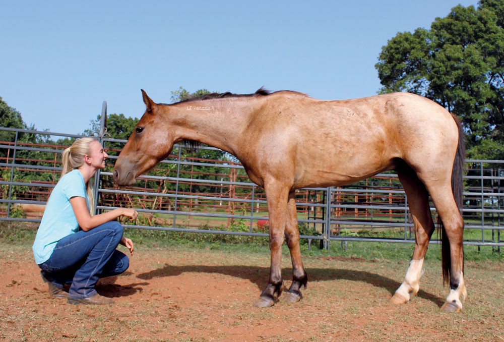 Virginia Deden with her Mustang, Robin Hood