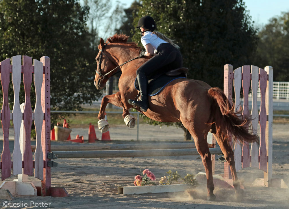 Young rider practing jumping