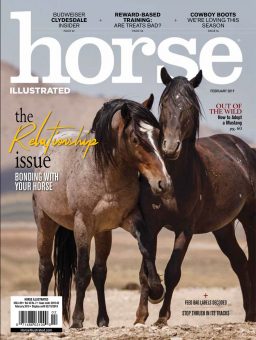 Horse Illustrated February 2019