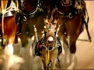 2004 Budweiser Clydesdale Ad: Donkey