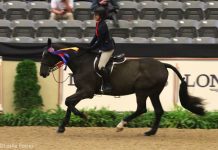 Madison Goetzmann and San Remo VDL take a victory pass after winning the 2017 Maclay National Finals.
