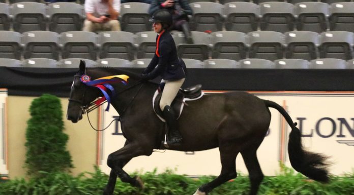 Madison Goetzmann and San Remo VDL take a victory pass after winning the 2017 Maclay National Finals.