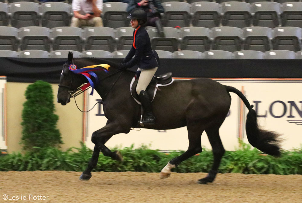 Madison Goetzmann and San Remo VDL take a victory pass after winning the 2017 Maclay National Finals.