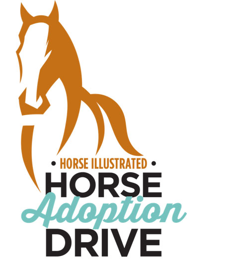 Horse Illustrated Horse Adoption Drive