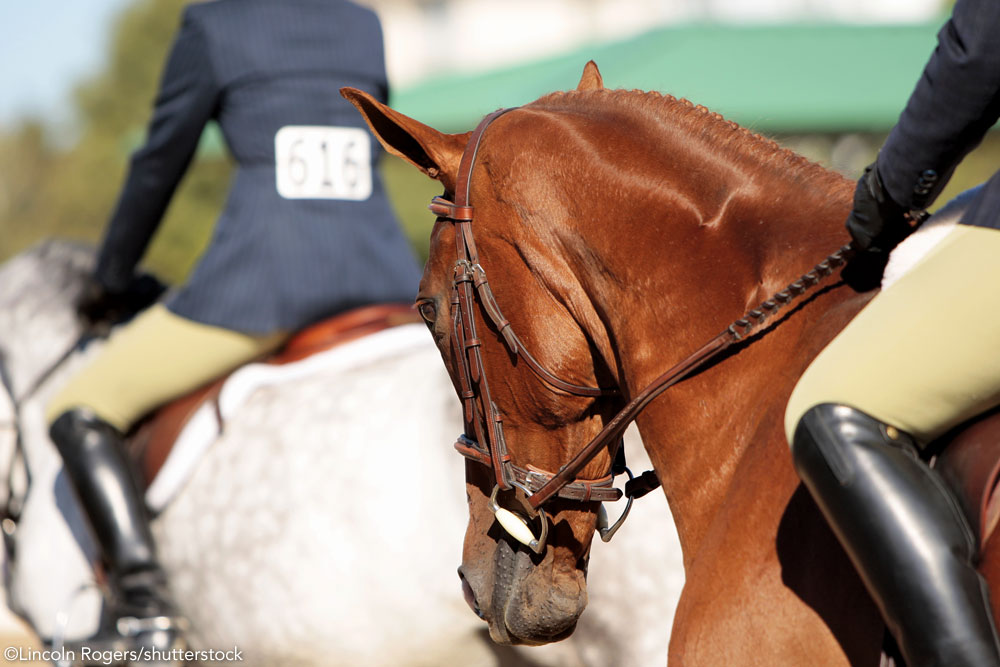 English riding hand position