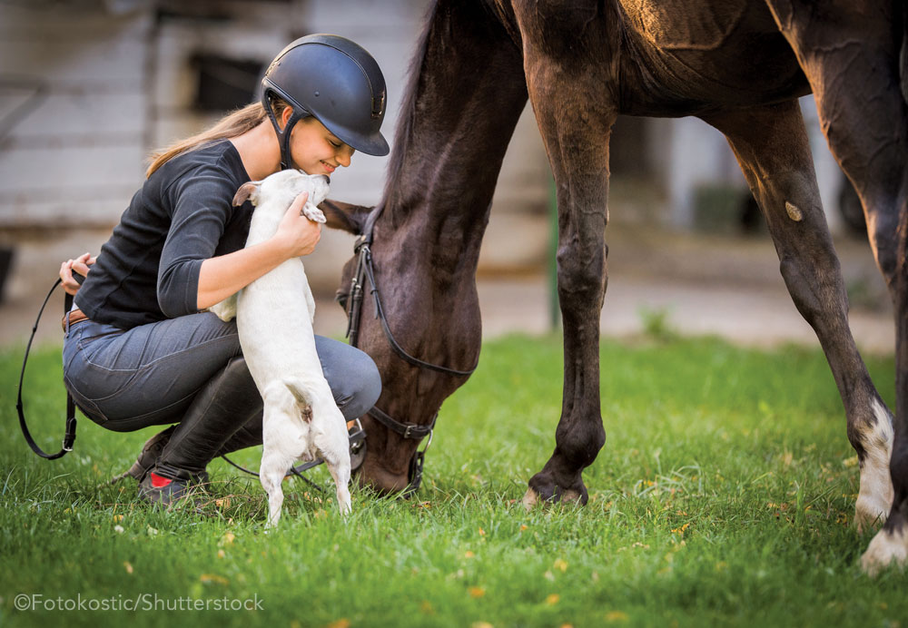 Girl with dog and horse