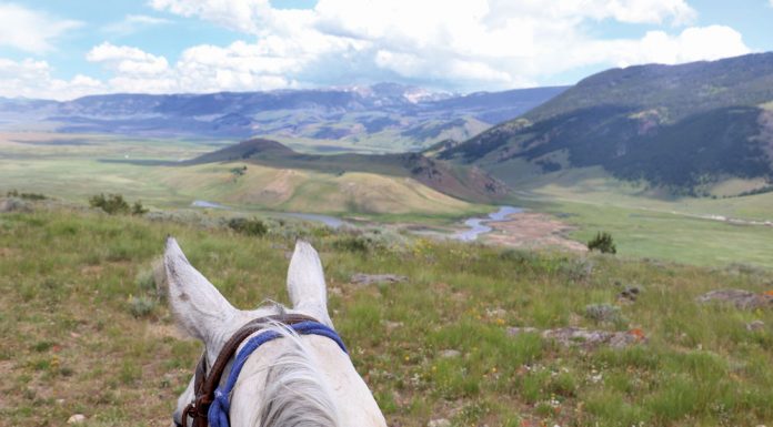 Trail riding above the National Elk Refuge in Jackson Hole, Wyoming