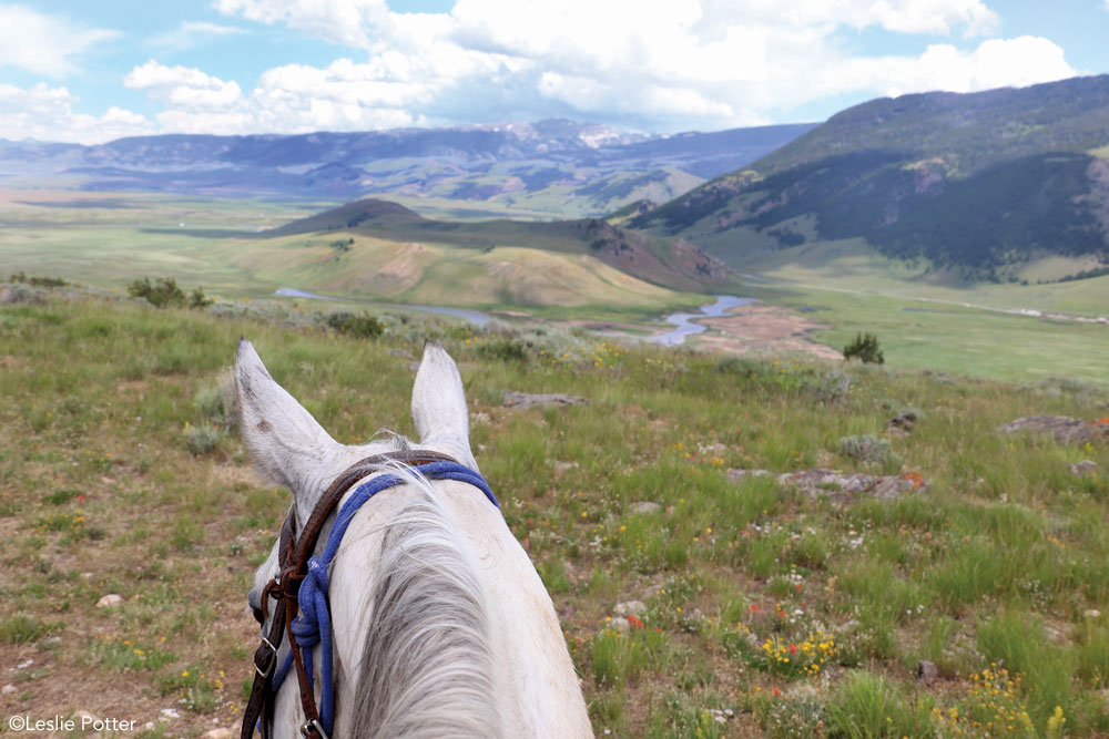 Trail riding above the National Elk Refuge in Jackson Hole, Wyoming