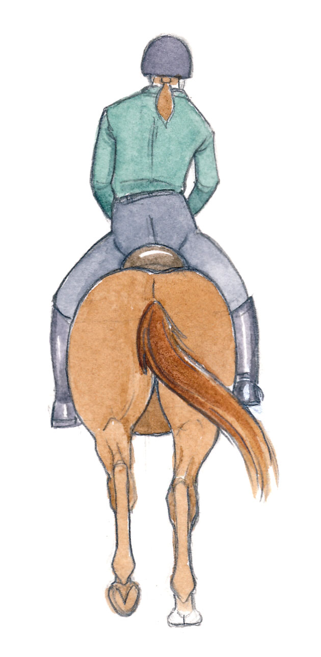 Illustration of rider leaning into the canter lead