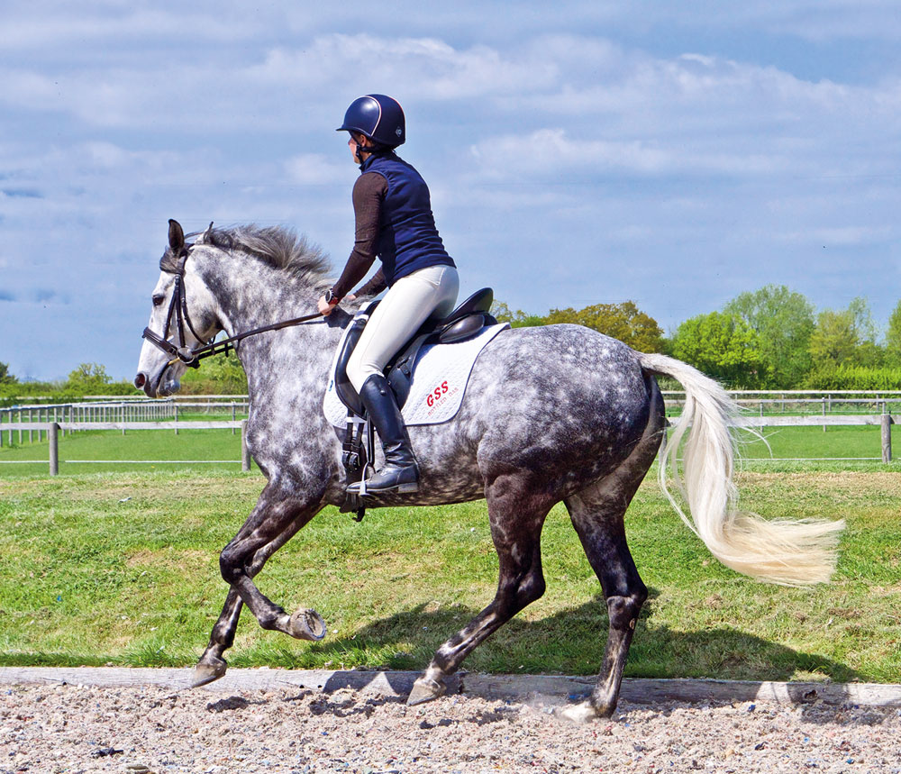 Horse and rider cantering