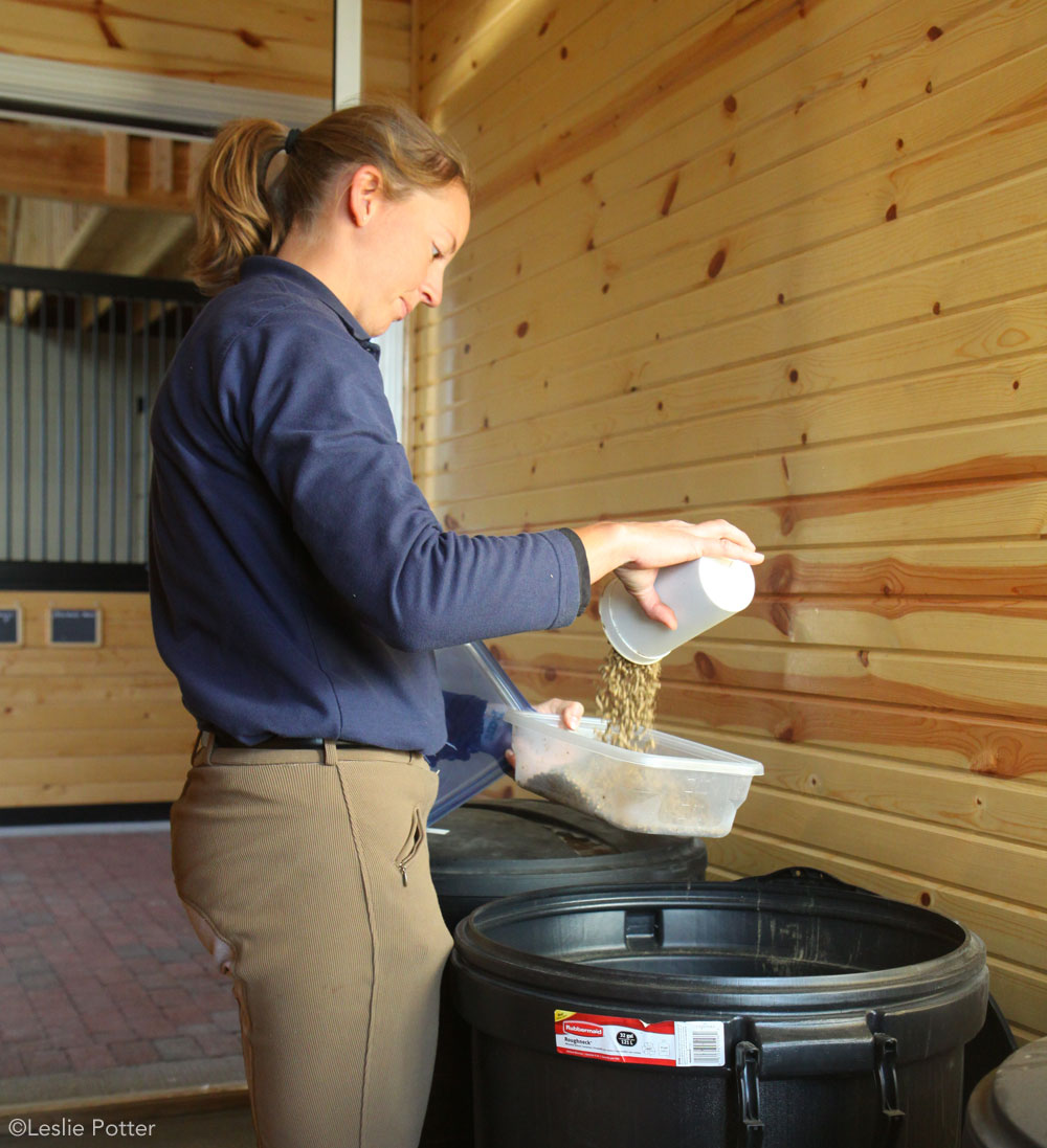 Preparing a horse's feed