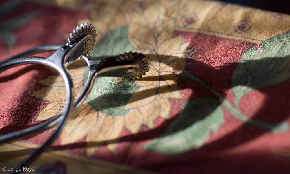 Pair of roweled spurs