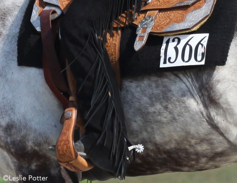 Western spur in a horse show