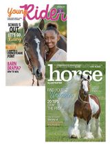 horse illustrated + young rider combo
