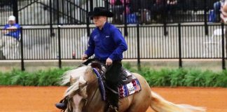 Cade McCutcheon and Custom Made Gun performing a spin in reining competition at the FEI World Equestrian Games Tryon 2018