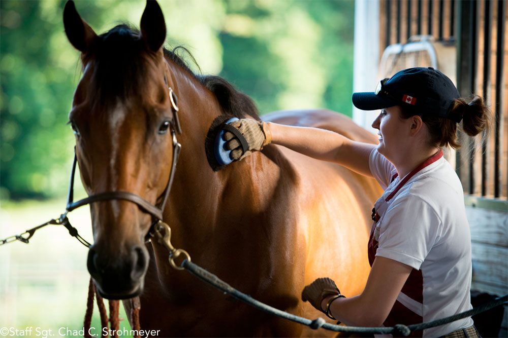 Capt. Lindsey Colburn, 11th Wing executive officer, brushes her horse, Soon