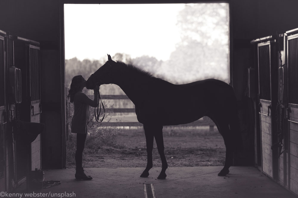 Horse and woman in barn