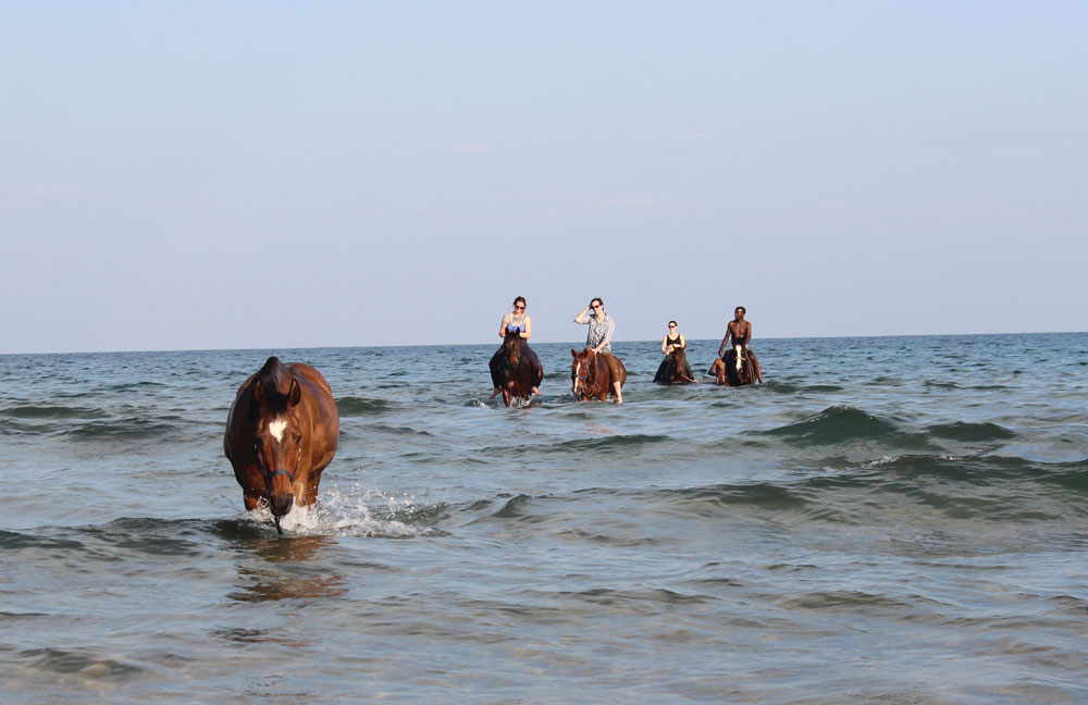 Horses and riders in a lake at Kande Horse