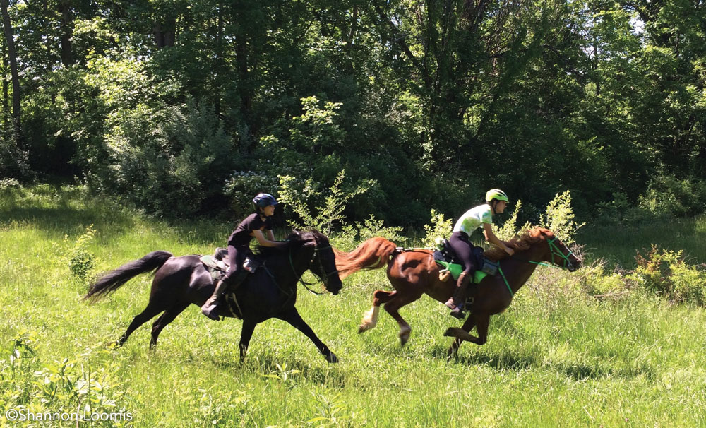 Endurance riders Christopher and Morgan Loomis riding their Morgan horses.