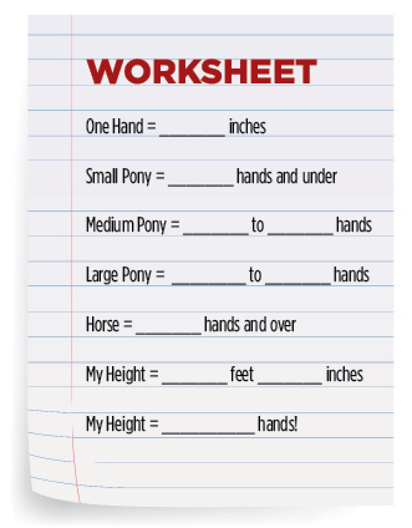 pony club skills measuring a horse young rider