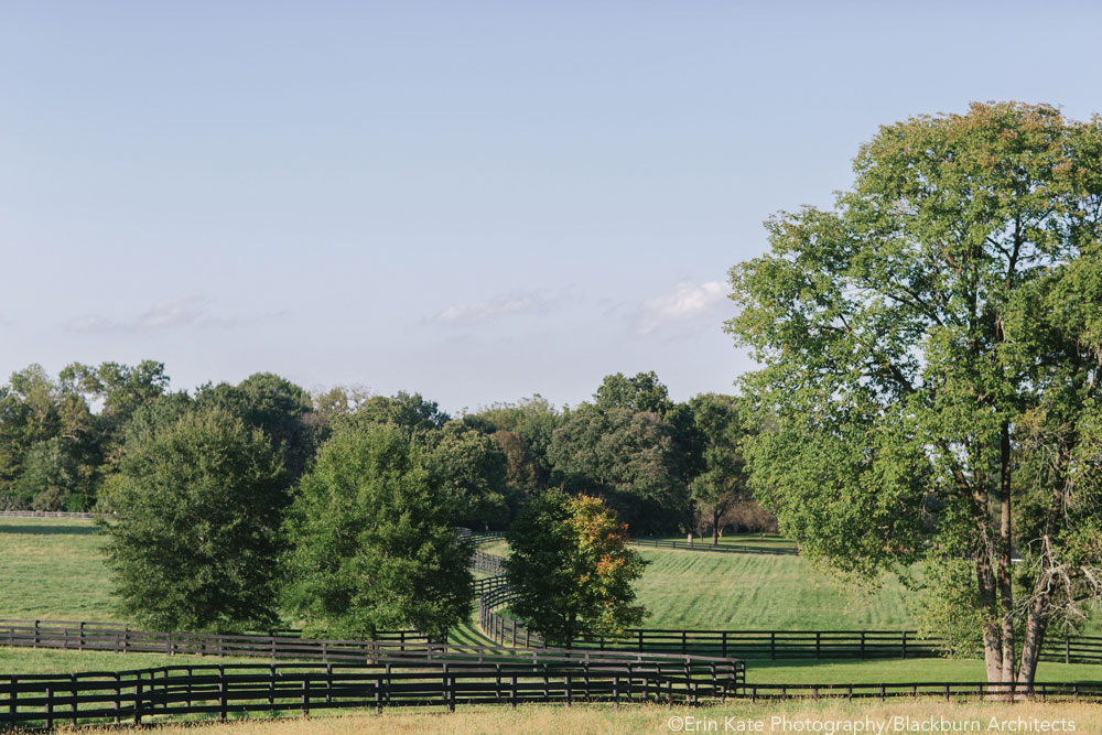 The pastures at Rutledge Farm