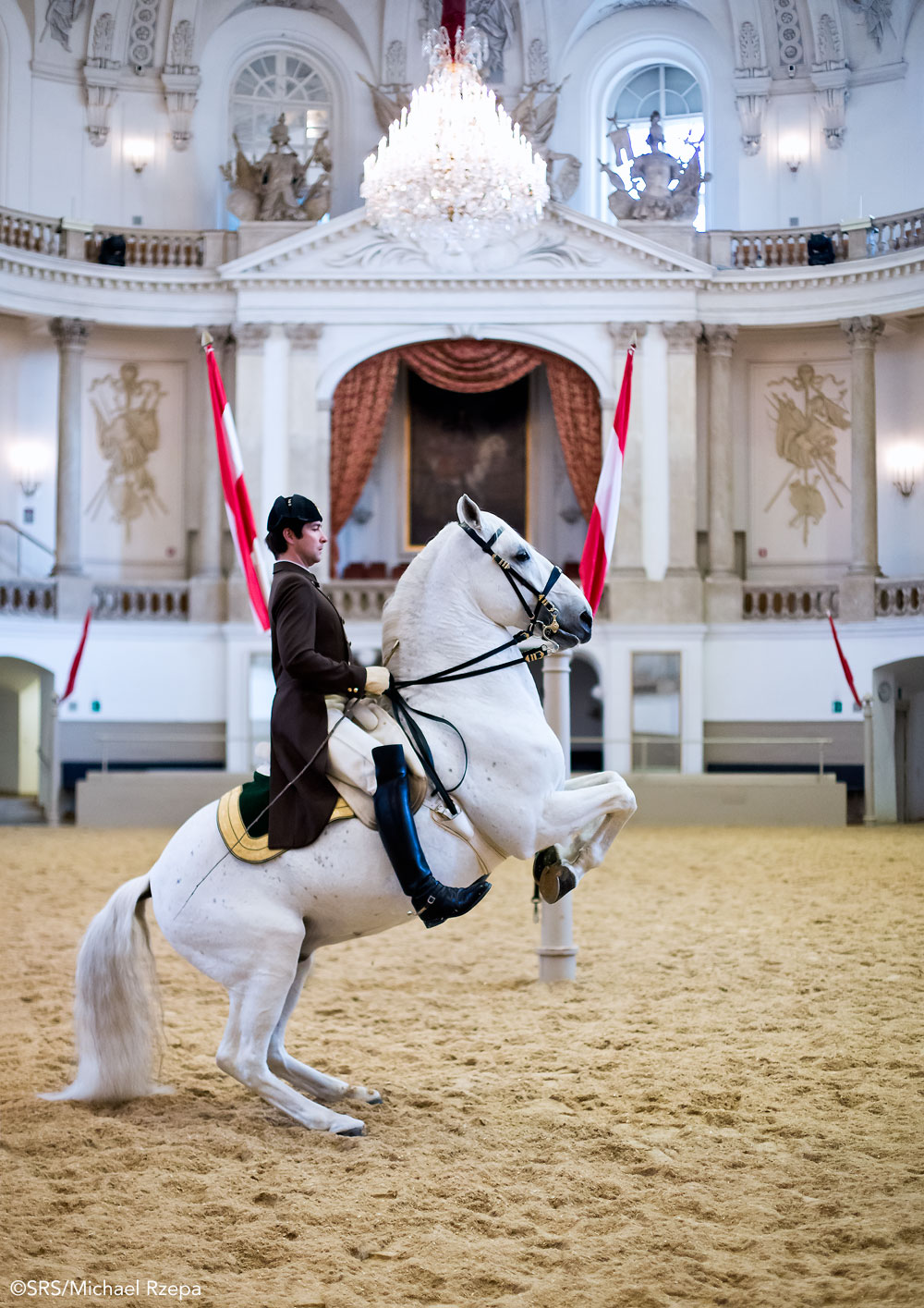 Rider on a Lipizzaner horse at the Spanish Riding School