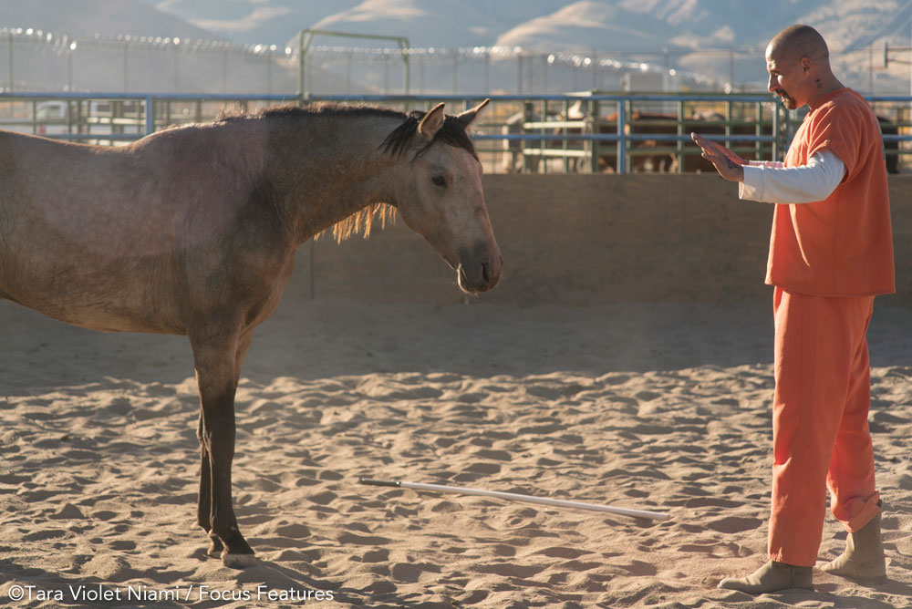 Scene from The Mustang movie