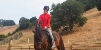 Riding exercises at the walk