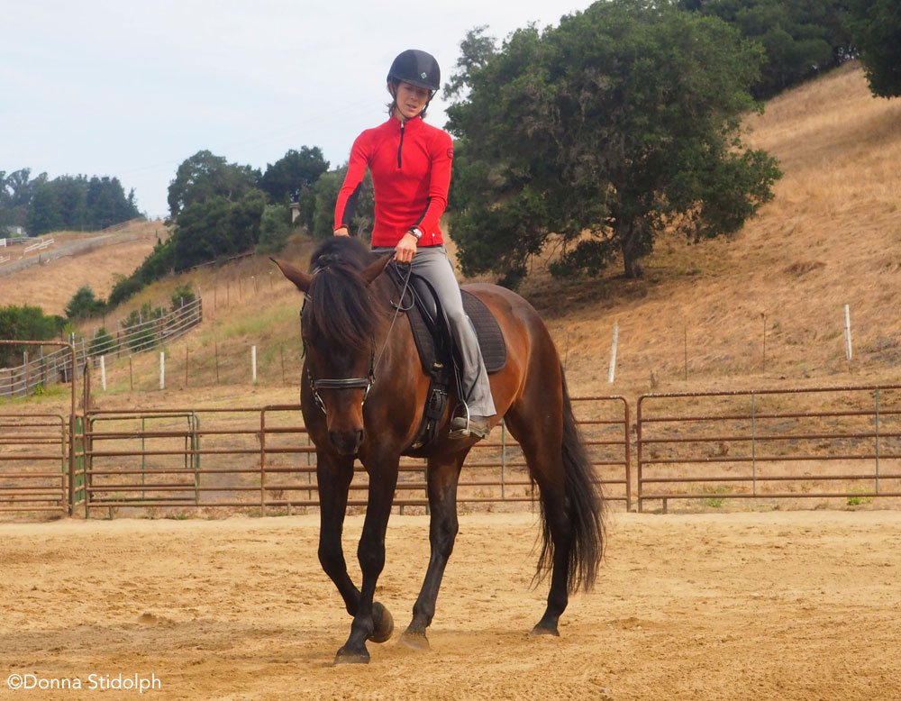 Riding exercises at the walk