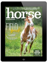 horse illustrated digital edition