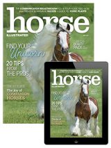 Horse Illustrated Print + Digital Combo Offer