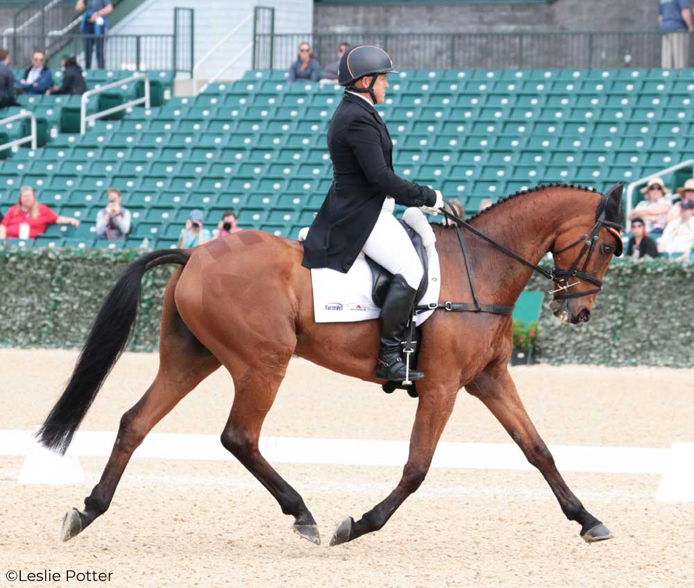 Buck Davidson (USA) and Park Trader