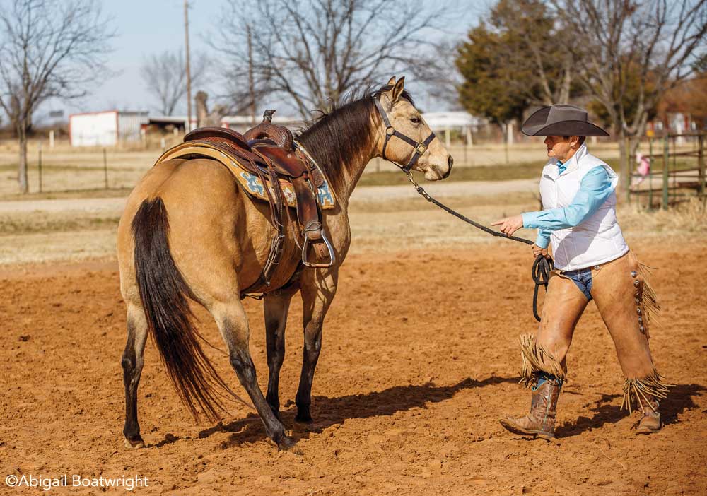 Brenda Hilgencamp working with a buckskin horse from the ground