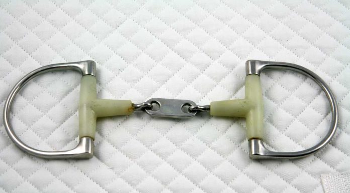 D-Ring Happy Mouth Dr. Bristol Snaffle Bit