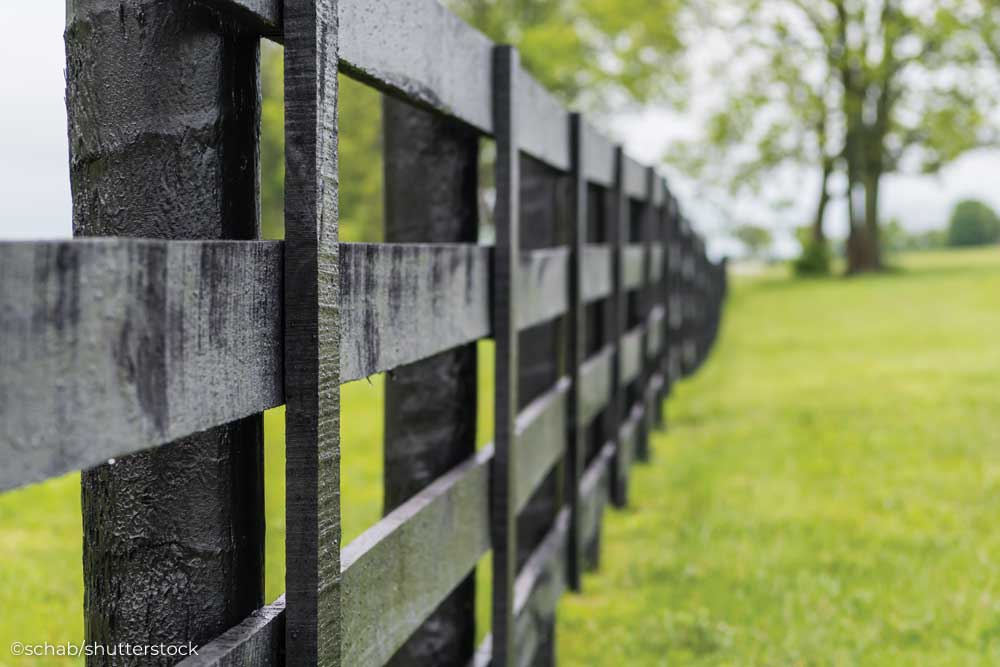 Black four-board post-and-board fence