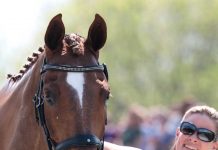 Lisa Marie Fergusson (CAN) and Honor Me.