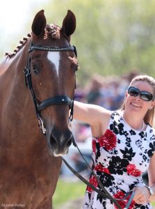 Scenes from the First Horse Inspection at the 2019 Land Rover Kentucky Three-Day Event